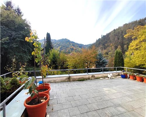 Apartament de vanzare  Brasov